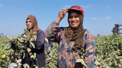 في يوم المرأة الريفية.. نساء مصر القديمة كن فلاحات 