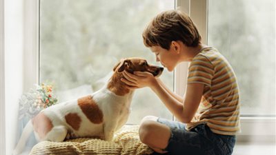 حكم تربية الحيوانات في المنزل وهل الكلب نجس؟..  الإفتاء تجيب