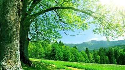 المفتي السابق: حواء بريئة من خروج آدم عليه السلام من الجنة