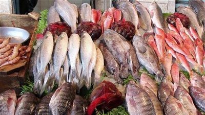 أسعار الأسماك اليوم الخميس.. استقرار البلطي مع نهاية الأسبوع.. سعره وصل كام؟