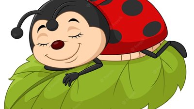 ممنوعة الأكل.. أسرار تحريم صبغة الخنفساء عند اليهود والنباتيين