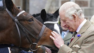 بعد وفاة إليزابيث.. الملك تشارلز يعرض خيولها للبيع في مزاد