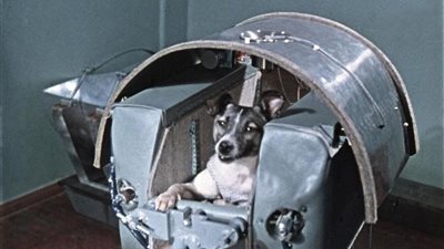 تعرفي على الكلبة «لايكا» التي دفعت حياتها ثمنا لاستكشاف الفضاء
