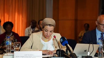 وزيرة البيئة تُشارك في الاجتماع التشاوري للوزراء الأفارقة بمؤتمر المناخ