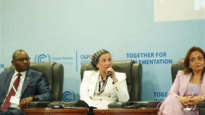 ياسمين فؤاد تُشارك في فعاليات يوم الطاقة بمؤتمر المناخ