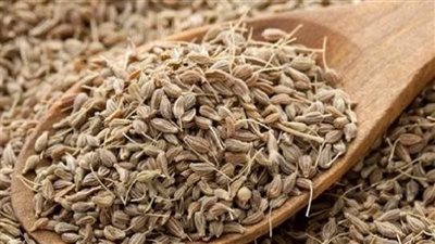 يعالج مشكلات الدورة الشهرية.. إليك فوائد وأضرار اليانسون