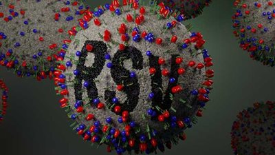 «الصحة» تحذر من الفيروس المخلوي التنفسي: هذه الحالات تستدعي المستشفى