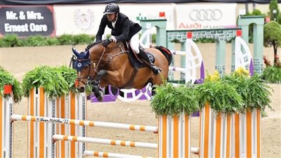 نايل نصار زوج ابنه الملياردير بيل جيتس يتوج ببرونزية العالم في الفروسية