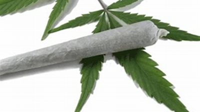 بعد القبض على منة شلبي.. ما هي الماريجوانا وأضرارها؟ 