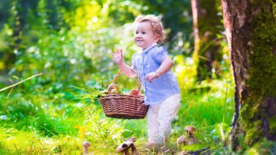 سلاح في معركة الإنفلونزا.. «المشروم» صديق أطفالك في فصل الشتاء