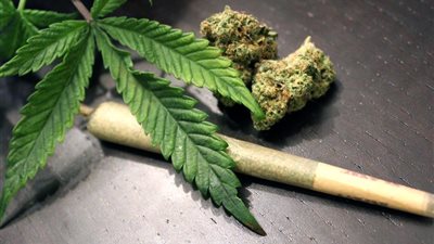 بعد واقعة منة شلبي..  5 دول تسمح بتناول الماريجوانا