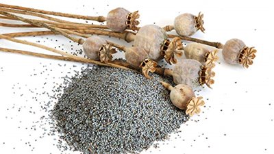 إذا كنت تعرفين متعاطي أفيون.. إليك أبرز أعراضه ومخاطره