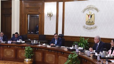 رئيس الوزراء يتابع عددًا من المشروعات بجنوب سيناء ويشكر المحافظ ونائبته