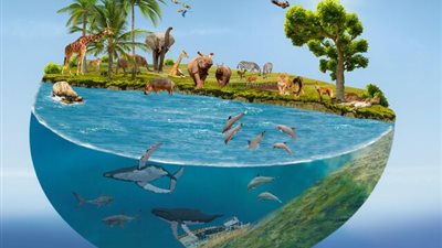 «الأرض الافتراضية» تكشف عن انقراض ربع الكائنات الحية في القرن 21