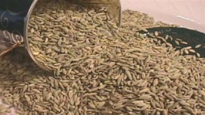 الشمر والحلبة وصفة سحرية لزيادة إدرار لبن الأم