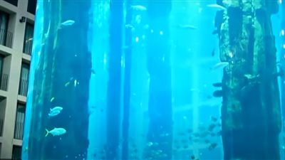 1500 سمكة طارت.. انفجار أكبر حوض أسماك في العالم