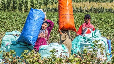 «هير نيوز» تهنئ الست الشقيانة بالعام الجديد: قصص يفخر بها كل مصري