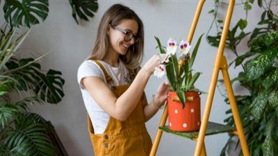 «هل تحبين الورد الطبيعي؟» إليك طريقة حفظه من الذبول لأطول فترة