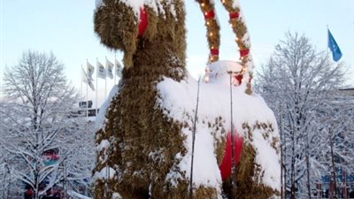 ما سر ماعز القش الضخم الذي يزين مدن السويد في يناير؟