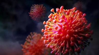 مجدي بدران لـ«هير نيوز»: متحور xbb أسوأ نسخ كورونا الجينية