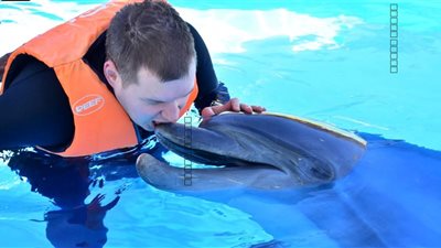 «الدلافين» طريقة ناجحة لعلاج التوحد في شرم الشيخ