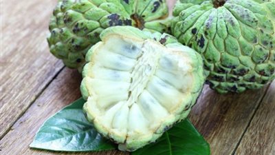 «القشطة» فاكهة مهدور حقها تكافح السرطان