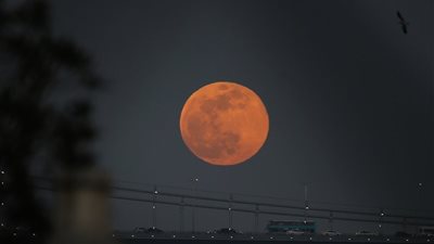 تفسير حلم سقوط القمر في المنام وعلاقته بخراب البيت