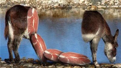 «اعرفي الفرق»| 5 اختلافات بين لحم الحمير واللحم البقري