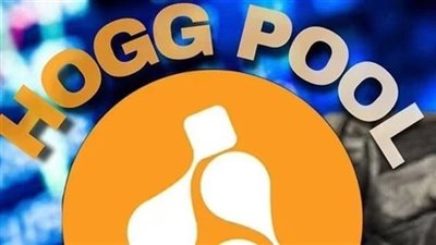 اعترافات عصابة هوج بول: نصبنا على الضحايا بهذه الطرق و10000 محفظة لتلقي الأموال