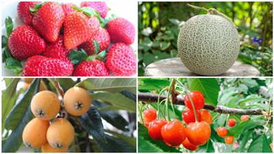 فوائد مذهلة لفواكه الربيع| لا تتخلي عنها