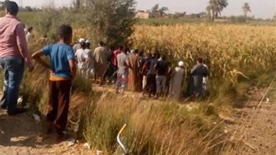 القصة الكاملة لذبح فتاة لخطيبها بعد كتب الكتاب وإلقاء جثته وسط الزراعات