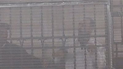 هل يفلت مرتكب مذبحة الإسكندرية من حبل المشنقة؟ «حل وحيد أمام المتهم» 