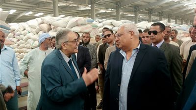 شون البنك الزراعي المصري تستقبل 277 ألف طن خلال الشهر الأول لموسم توريد القمح