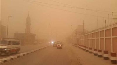 هاني الناظر يحذر من الرياح والأتربة وهذه نصيحته لمرضى الحساسية