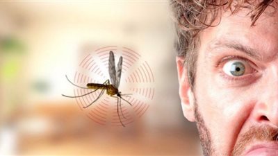 4 طرق لطرد الناموس من المنزل في الصيف