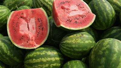 تفسير حلم البطيخ «في الصيف سداد ديون وفي الشتاء غير محمود»