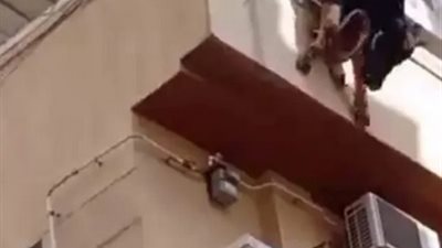 انتحار عجل من الطابق الرابع قبل ذبحه (فيديو)