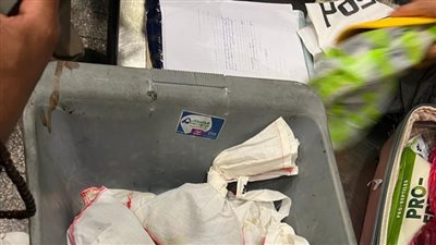 ضبط 73 ثعبانًا مع راكب في مطار القاهرة (صور)