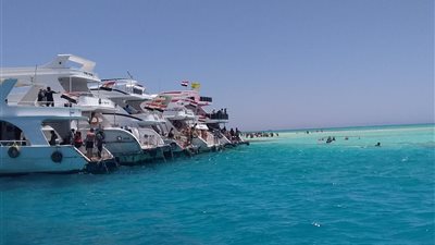 البيئة: ارتفاع أعداد الزائرين المصريين والأجانب لمحميات سيناء خلال عيد الأضحى 2023