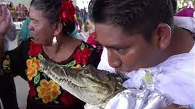 رئيس بلدة مكسيكية يتزوج أنثى تمساح في حفل كبير (فيديو)