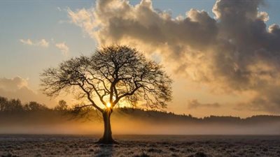 «تصرف رهيب» ماذا فعل إبليس عندما رأى آدم أول مرة؟ (فيديو) 