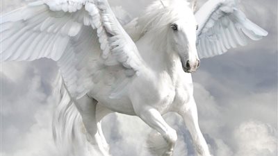 تفسير حلم الحصان الأبيض بجناحين في المنام وعلاقته بصدمة شديدة في حياتك