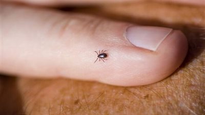 بسبب «الاحتباس الحراري» تحذيرات من فيروس قاتل يهدد العالم 