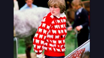 سترة الأميرة ديانا الشهيرة «الخروف الأسود» للبيع بمزاد علني «إليك سعرها» (فيديو)