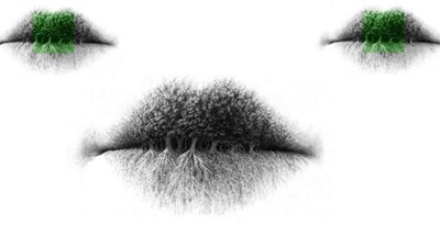 الشفاه أم الشجرة.. ما رأيت أولًا يخبرك عن سماتك الشخصية من خلال عقلك الباطن 