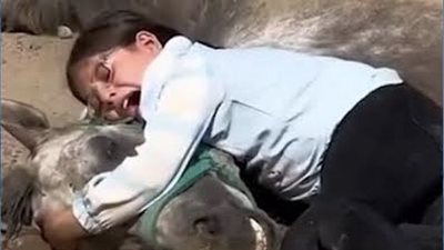 فيديو مؤثر لطفلة بعد نفوق حصانها ومحمد بن راشد يفاجئها بهدية غير متوقعة