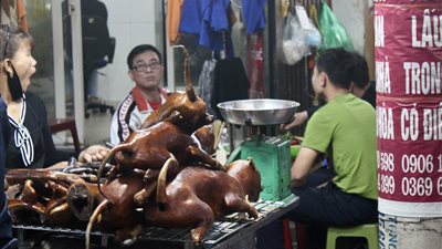 سوق شهيرة تمنع بيع لحوم القطط والكلاب والفئران