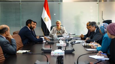 البيئة تعمل على خطة مواجهة نوبات تلوث الهواء بسبب حرق قش الأرز