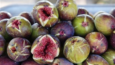 7 فوائد مذهلة للتين أبرزها الحفاظ على القلب والشرايين