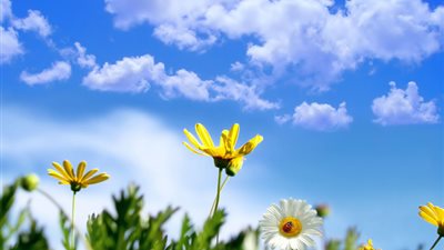 الأرصاد: طقس الجمعة معتدل مائل للحرارة على شمال البلاد